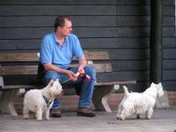 Klik op de foto voor groter formaat